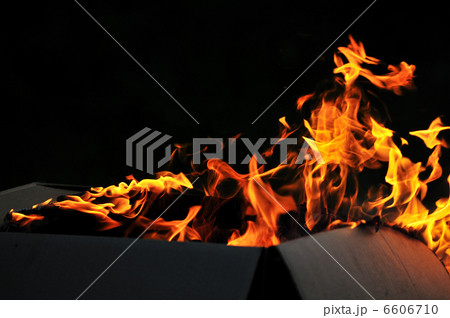 wild fire 6606710
