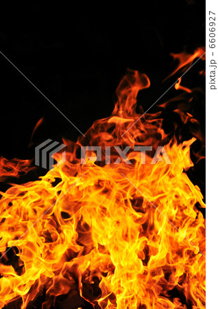 wild fire wild fire 6606927