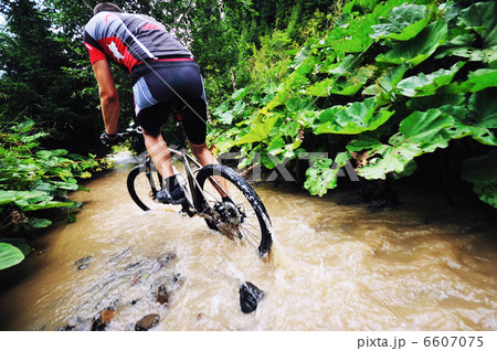 wetmtb wetmtb 6607075