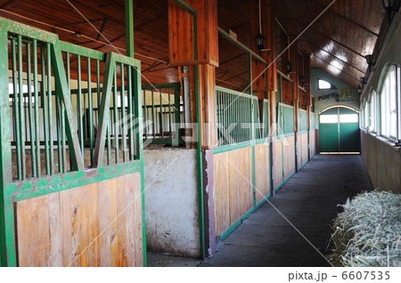 horse house 6607535
