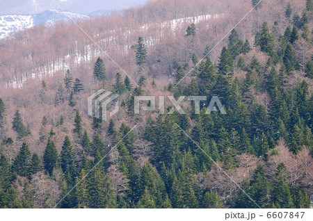 winter landscape winter landscape 6607847
