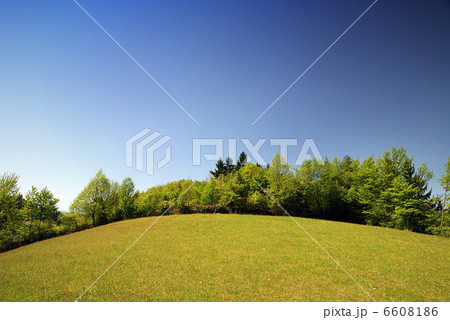 nature 6608186