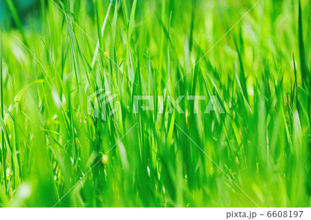 beautiful sunset in nature 6608197