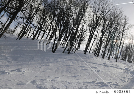 winter landscape winter landscape 6608362