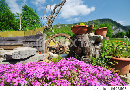 garden with beautiful flower decoratin 6608663