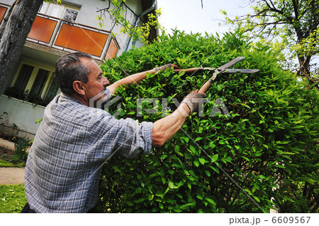 man garden work man garden work 6609567