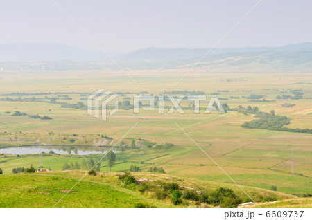 meadow 6609737