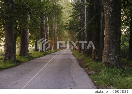 sunrise in beautiful alley sunrise in beautiful alley 6609881