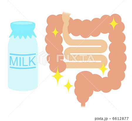 牛乳で腸内環境調整 牛乳で腸内環境調整 6612877