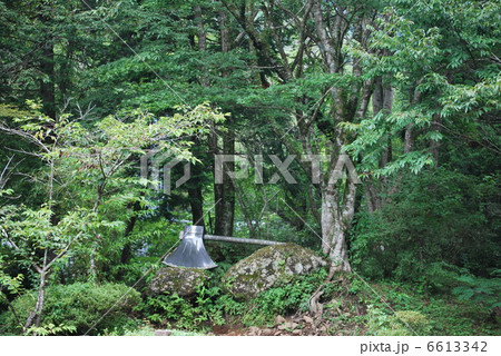 金太郎のまさかり 6613342