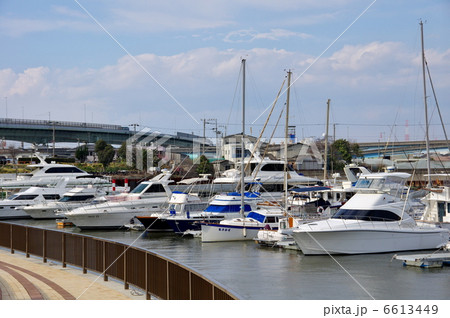 ヨットハーバー ヨットハーバー 6613449