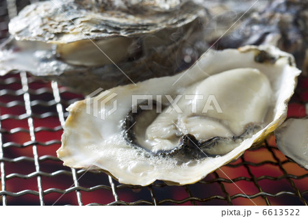 牡蠣 6613522