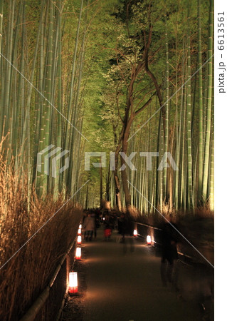 嵐山花灯路の竹林の小径 嵐山花灯路の竹林の小径 6613561
