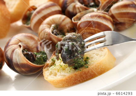 エスカルゴ 6614293