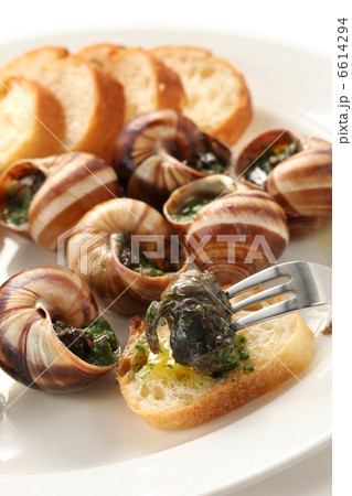 エスカルゴ 6614294