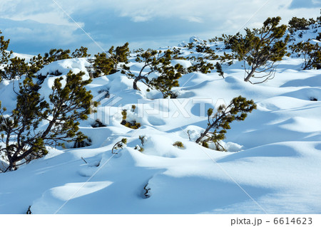 Beautiful winter mountain landscape. 6614623