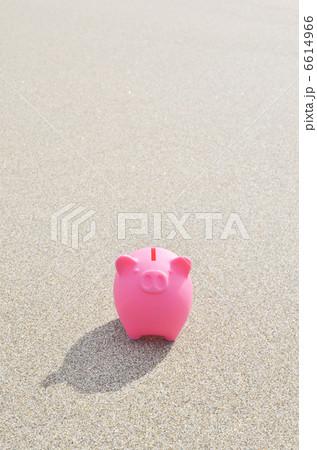 豚の貯金箱 海岸 豚の貯金箱 海岸 6614966