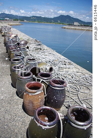 並んだ蛸壷 6615446