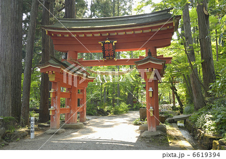鳥居 鳥居 6619394