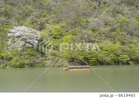 最上川舟下り 最上川舟下り 6619465