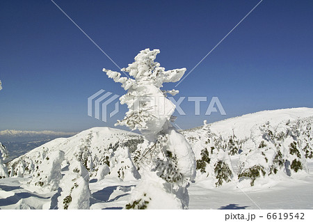 樹氷 6619542