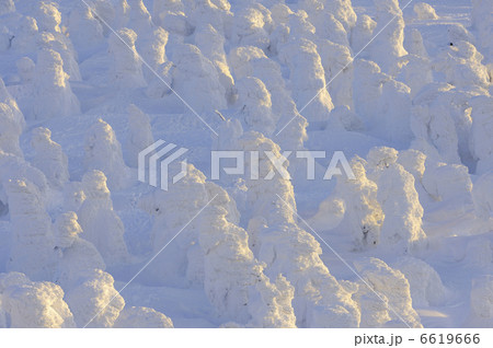 樹氷 6619666