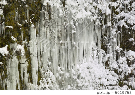 岩にできたつらら 岩にできたつらら 6619762