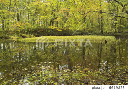 鏡沼 鏡沼 6619823