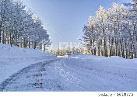 エコーライン 6619872