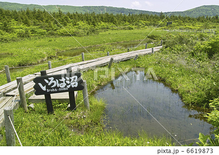 いろは沼 6619873