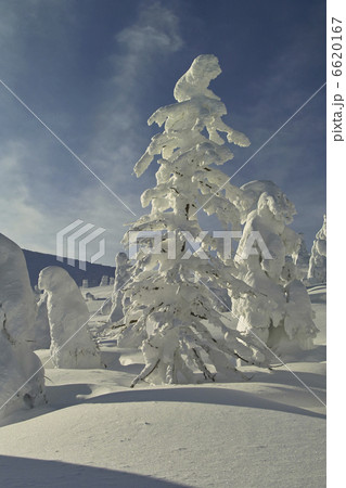 樹氷 6620167