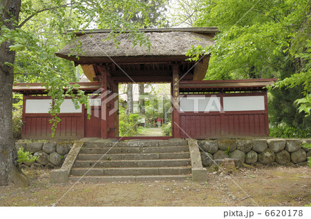 普門院山門 6620178