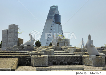 アスパム アスパム 6620249