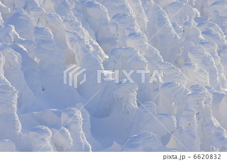 樹氷 6620832