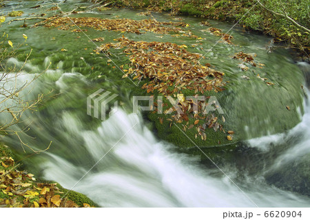 落ち葉と流水 落ち葉と流水 6620904