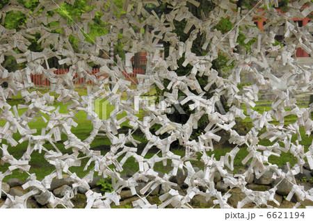 おみくじ おみくじ 6621194