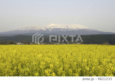 鳥海山 6621235