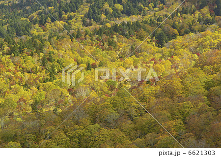 西吾妻山 6621303