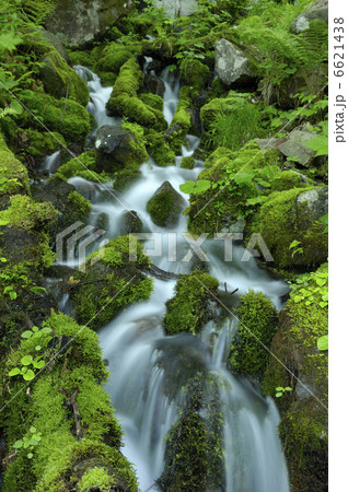 湧水 湧水 6621438