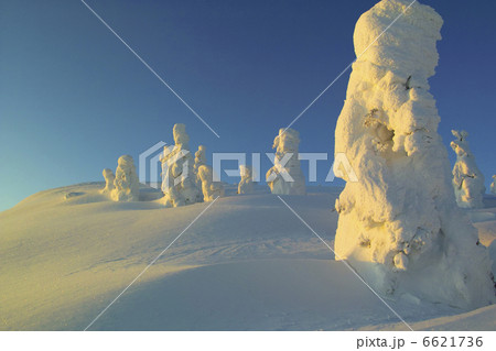 朝焼けに染まる雪原 朝焼けに染まる雪原 6621736