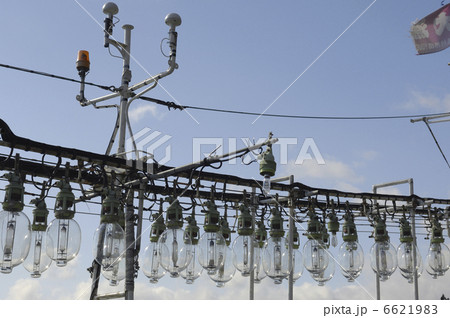 イカ約船 6621983