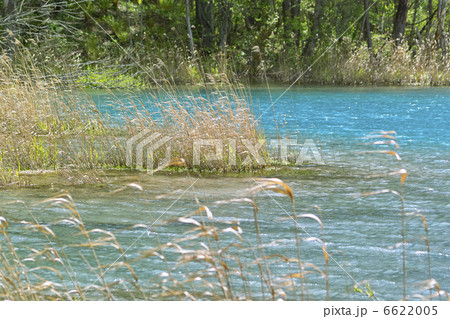 弁天沼 6622005