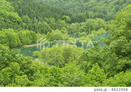 宝仙湖 宝仙湖 6622008