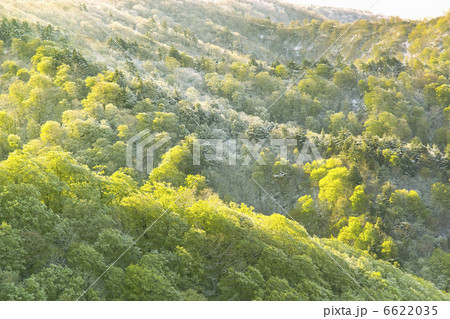 西妻山 西妻山 6622035