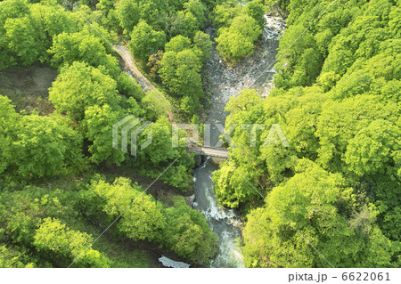 城ヶ倉渓流 6622061