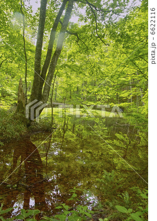 鏡沼 鏡沼 6622116