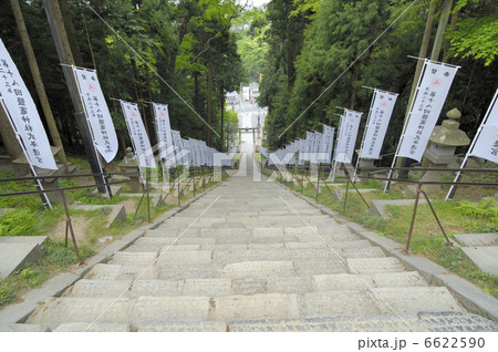 表参道 表参道 6622590