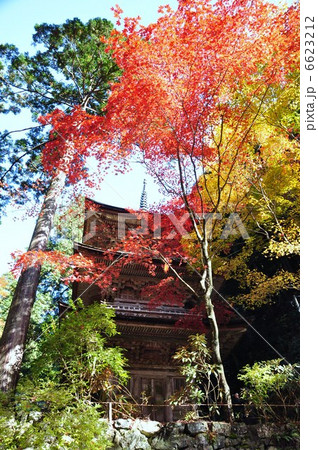 秋の横蔵寺 6623212