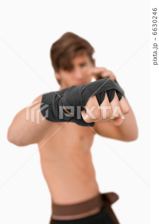 Martial arts fighters fist Martial arts fighters fist 6630246