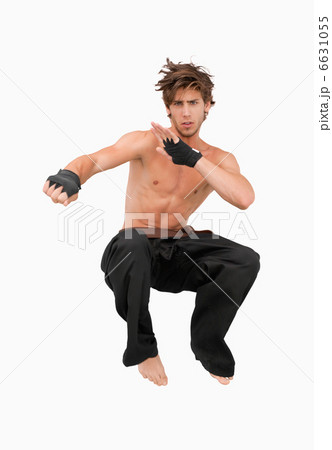 Jumping martial arts fighter 6631055